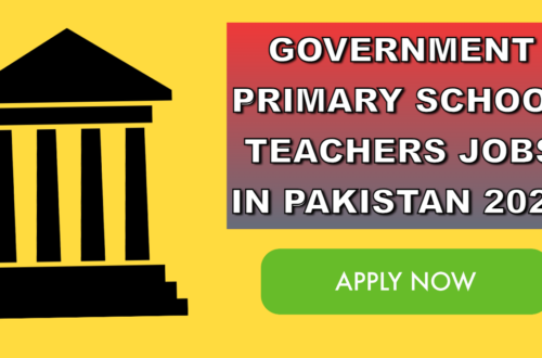 Government Primary School Teachers Jobs in Pakistan 2024